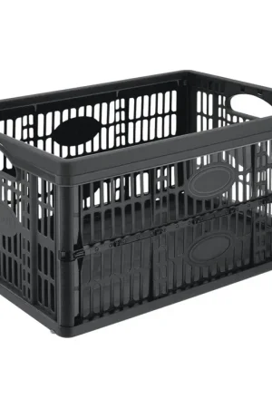 Offre Limitée Box de rangement pliant noir 32 L