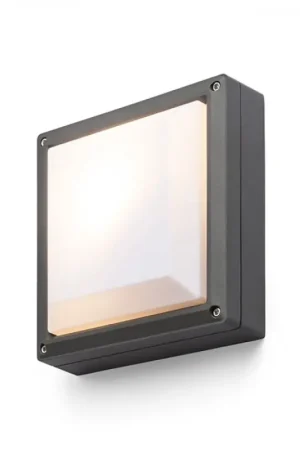 Commander Vite Applique murale d'extérieur DELTA 215 montage en surface gris anthracite 230V LED E27 15W IP54