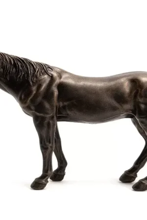 Dernière Chance CHEVAL COLORADO