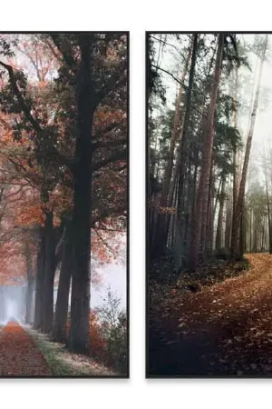 PHOTOGRAPHIE SCÈNES ARBRES/VERRE 120X80 Promotion