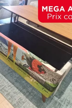 Soldes Table basse