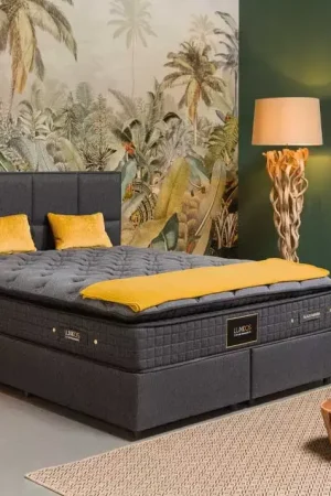 Usine Directe Matelas BLACK MAMBA