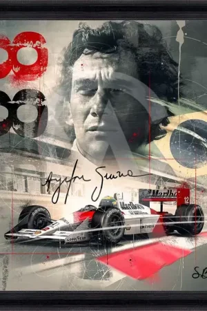 Vente Flash TABLEAU 5203 AYRTON SENNA