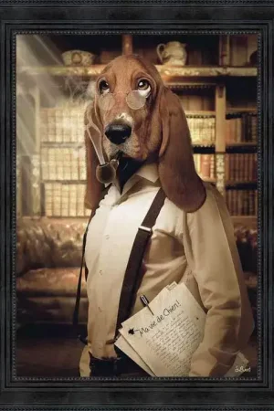 Achat Immédiat CHIEN BASSET