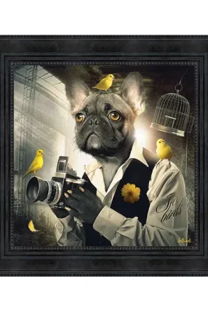 CHIEN PHOTO Bon Marché
