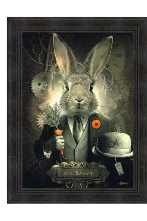 MR RABBIT Acheter En Ligne
