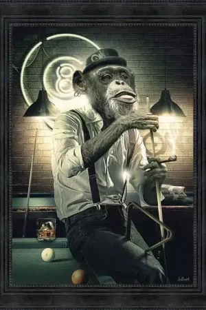 SINGE BILLARD Prix Réduit