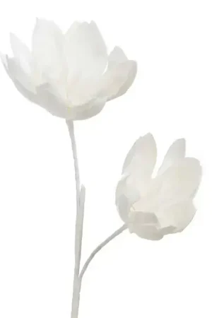 FLEUR LANA Marque