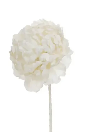 Quantité Limitée FLEUR MAEVA