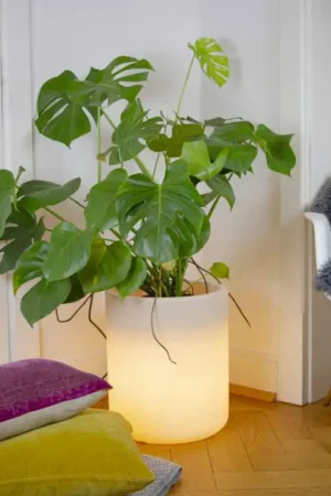 Vase avec éclairage solaire ou design LED pour intérieur ou extérieur - Cilindrostar Dernière Chance